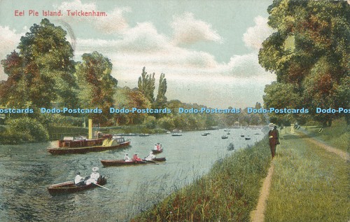 R001556 eel pie island - eel,