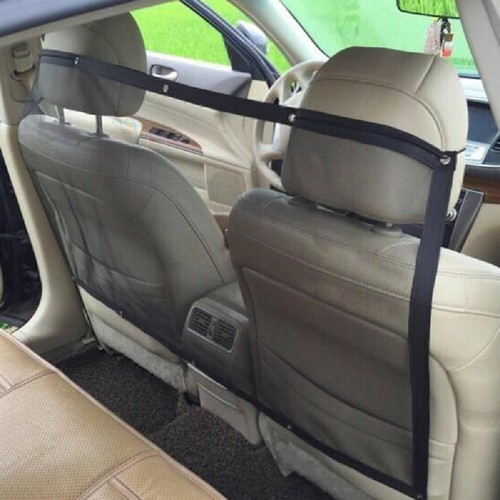 New pet dog safety travel - new,