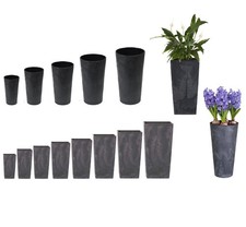 Square round tall plant - tall,