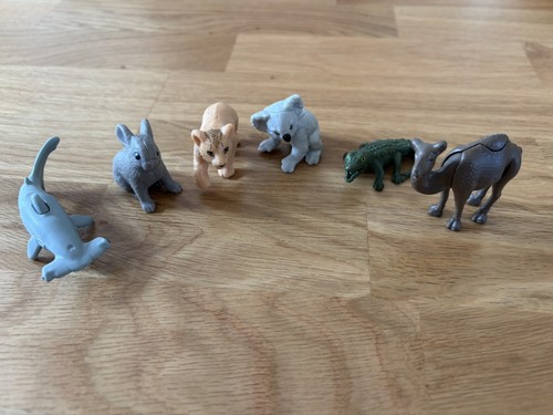 Bundle kinder surprise - of,