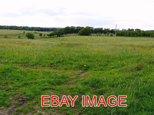Photo hethersgill grazing - ,