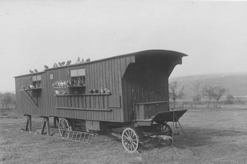 Mobile carrier pigeon - , station