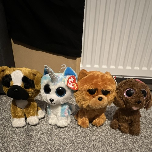 Beanie boos plush dogs - beanie,