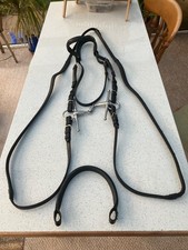 Black Bridle by Gallop