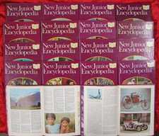 1-18 FACT-FILLED NEW JUNIOR