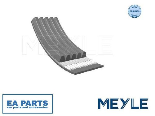 Ribbed belts for - for, astra