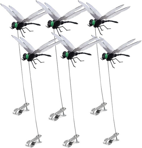 Pack dragonfly clip - 6,