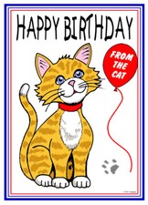 FROM THE CAT HAPPY BIRTHDAY