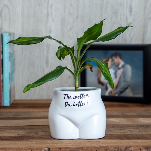 Wetter the better novelty body - the,