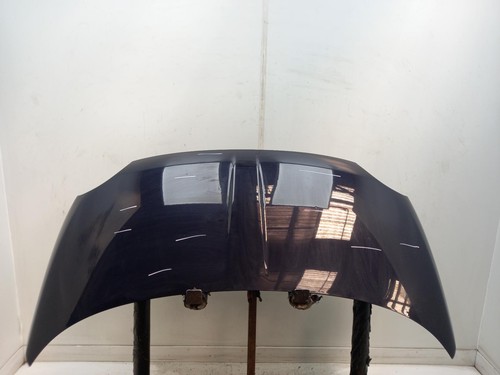 Fiat 500 bonnet - 500, 2009-2015