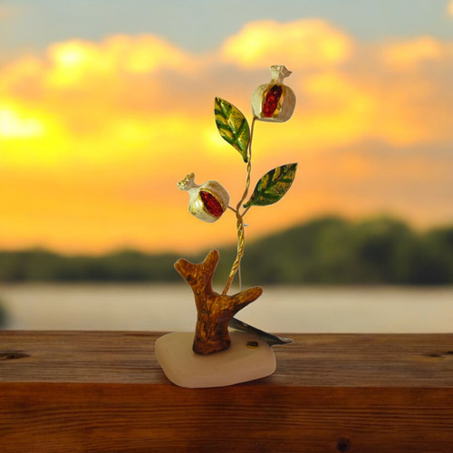 White pomegranate tree - , on