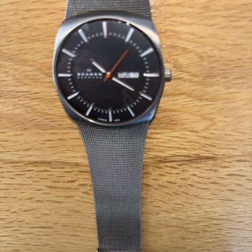 Skagen titanium case - skagen,