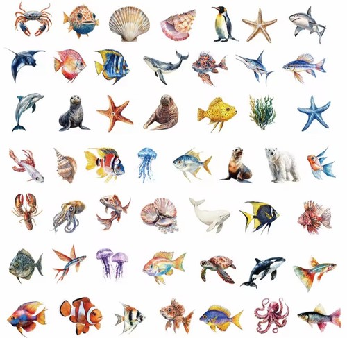 Marine animal stickers - marine, 50x