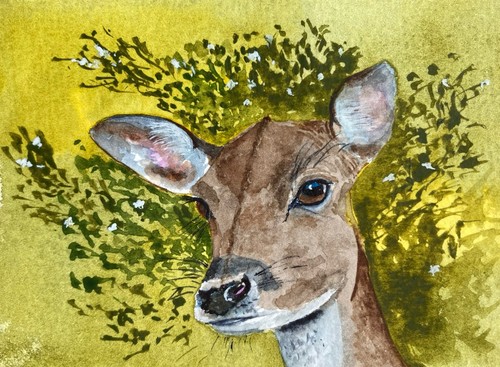 Original watercolour roe - original,