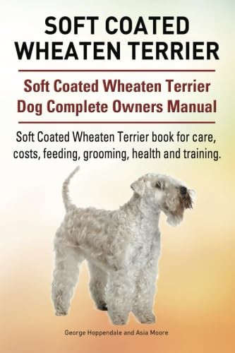 Soft coated wheaten terrier - soft,