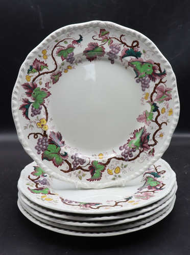 Wedgwood jefferson old vine - wedgwood,
