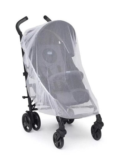 Chicco mosquito insect - mosquito,