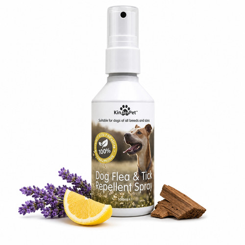 Natural dog flea - dog,
