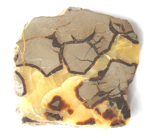 Septarian slab large - septarian, 151mm
