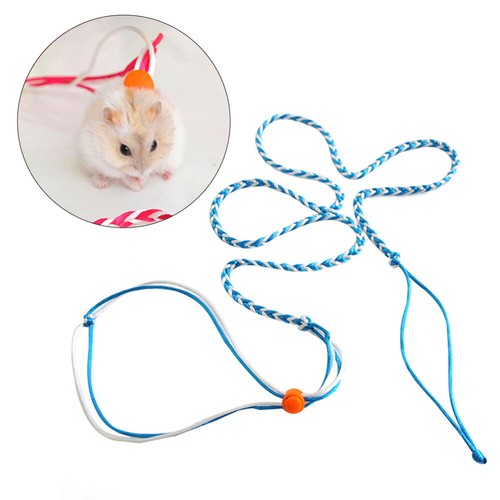 Rat harness ferret leash - ferret,