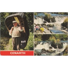 Postcard Cenarth Wales