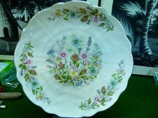 Aynsley Bone China wild Tudor