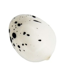 Artificial Bird Eggs