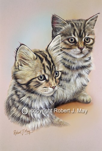 Brown tabby kittens print - tabby, by