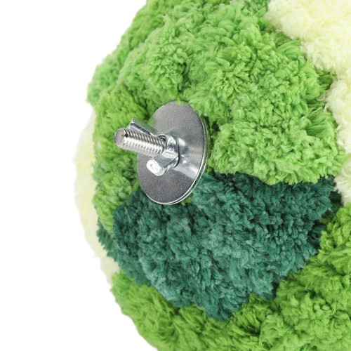 Bird house comfortable for - house,