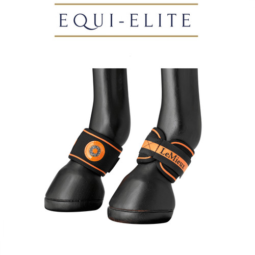 Lemieux magno pastern wrap - pastern,