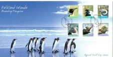 Falkland islands 2008 breeding - islands,