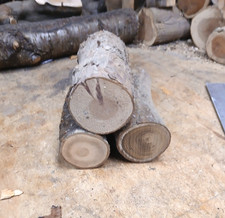 3 Fully seasoned hardwood log