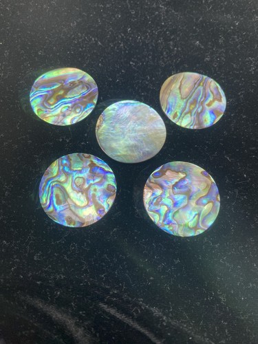 Abalone shell discs custom cut - custom,