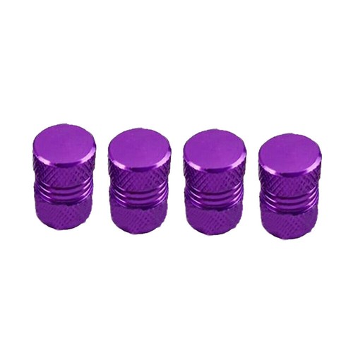 Car tyre valve - tyre, dust