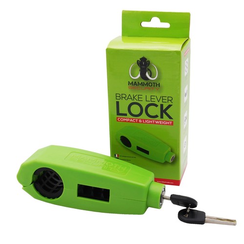 Mammoth motorcycle security - motorcycle,