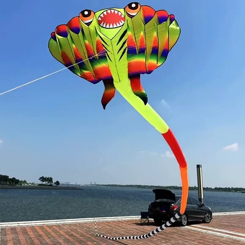 Professional inflatable kite - professional,