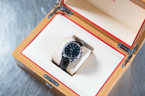 Omega seamaster aqua terra - omega,