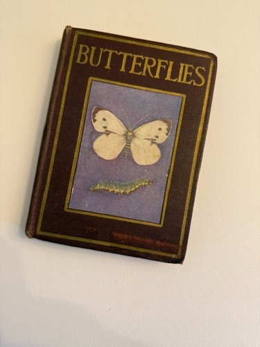 Butterflies and moths - butterflies,