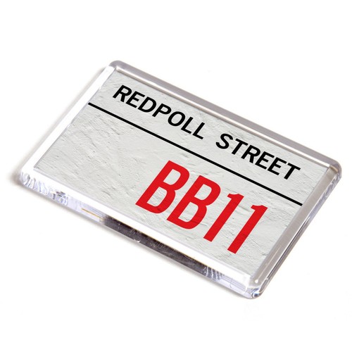 Fridge magnet redpoll street - fridge,