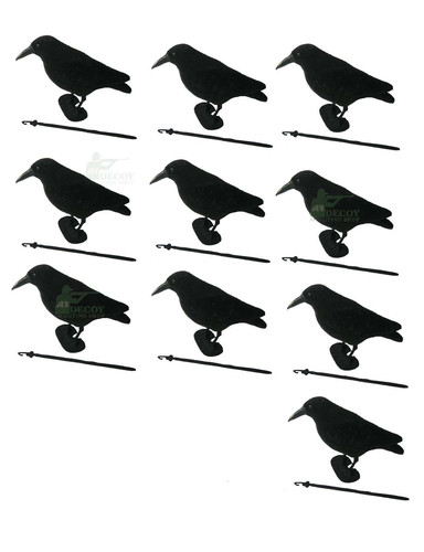Flocked crow full body decoys - full,
