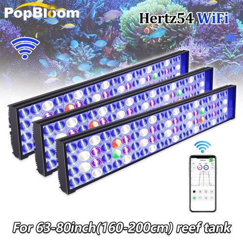 Popbloom 60cm 240cm - 60cm-240cm, marine