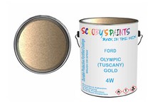 Classic Paint For Ford Escort