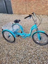 Adults Scout Tricycle 24"