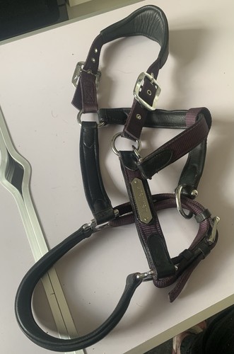Lemieux capella headcollar - capella,