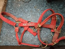 Monty Roberts Dually