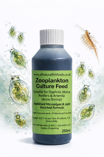 Rotifer daphnia artemia food - rotifer,