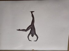 Pirelli Calendar 1988