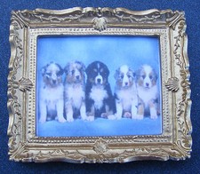 Dolls House Five Puppies