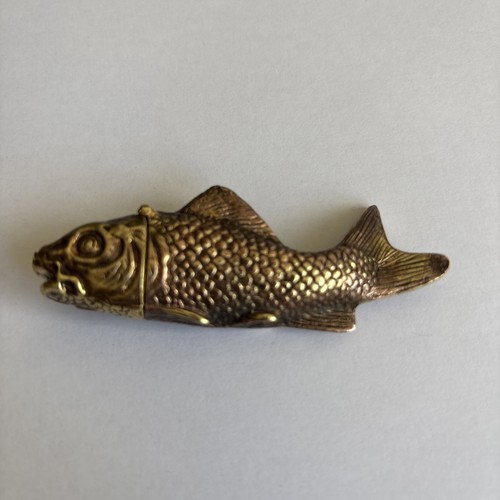 Carp fish swimming - carp,