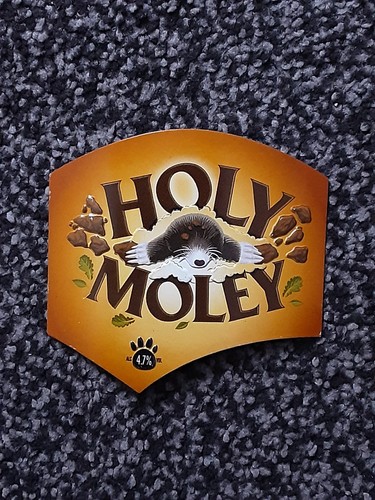 Badger brewery new holy - badger,